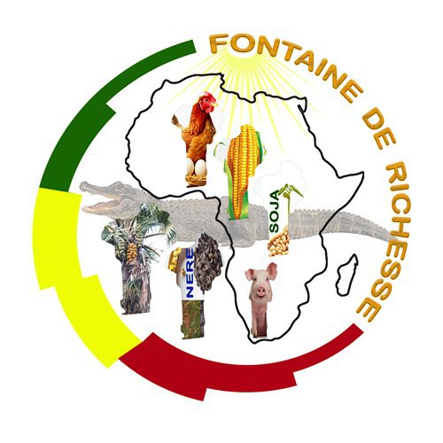 logo fdr