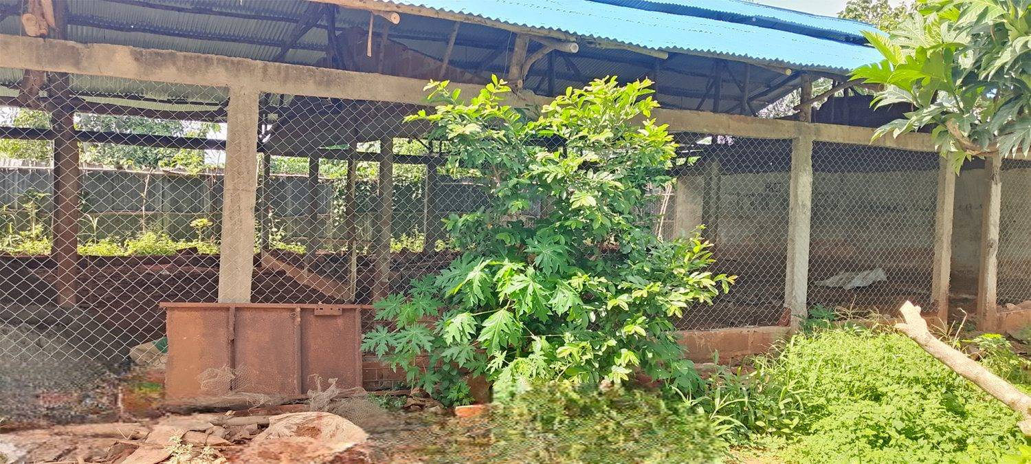 Ferme bénin